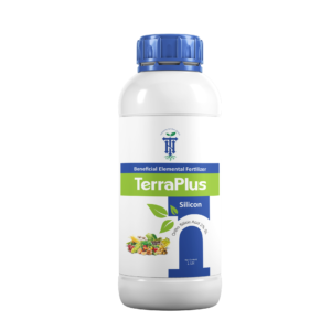 TerraPlus Silicon