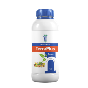 TerraPlus Boron