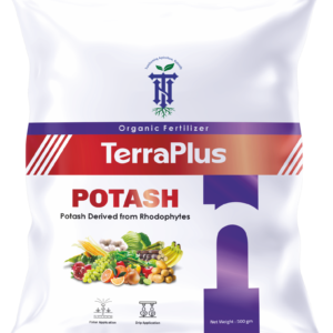 Terraplus Potash