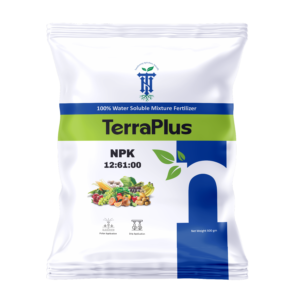 TerraPlus 12:61:00