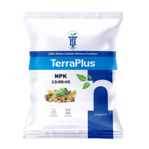 TerraPlus 13:00:45