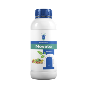 Novate Energy