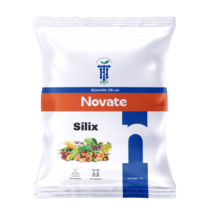 Novate Silix